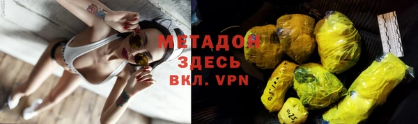прущие грибы Пестово
