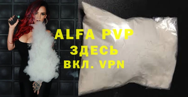 прущие грибы Пестово