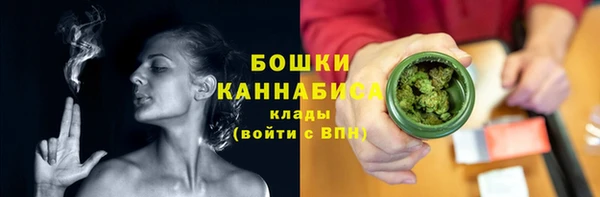 прущие грибы Пестово