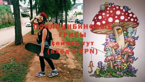 герыч Алексин
